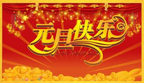 （合集）元旦小學生的作文15篇