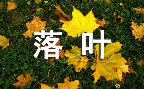 落葉作文優秀