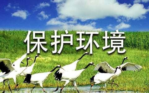 小學生保護環境的作文