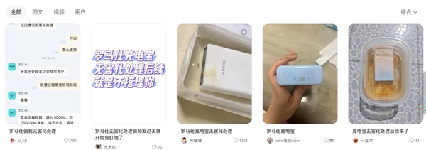 網(wǎng)友被羅馬仕客服騙了：無害化處理后僅補償5元
