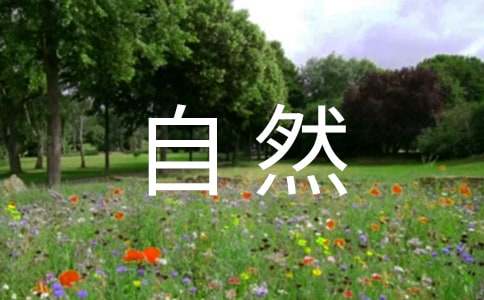 關于寫一處自然景觀作文300字集合十篇