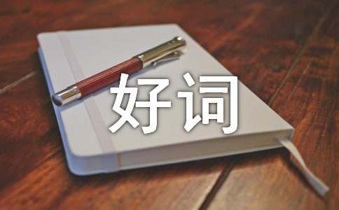 六年級(jí)好詞好句大全