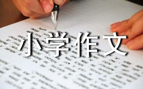 我的心愛(ài)之物小學(xué)作文（精選36篇）