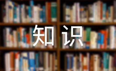 寫作基礎知識